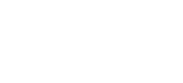 Fallback Logo